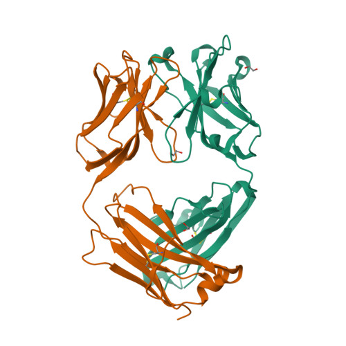 Trastuzumab as a fab